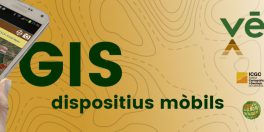 GIS en dispositius mòbils