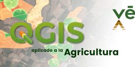 QGIS aplicat a l’Agricultura